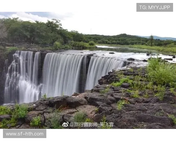 从惊心动魄到优雅艺术全面解析跳水运动的力量与美感