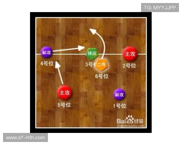 从零开始掌握排球技巧与战术全面指南助你成为排球高手