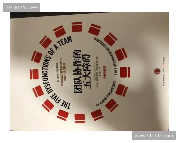 杭州足球队团队协作的成功之道与战术分析探讨